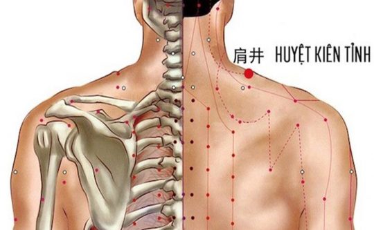 Huyệt Kiên Tỉnh Ở Đâu, Có Tác dụng Gì Với Sức Khỏe?