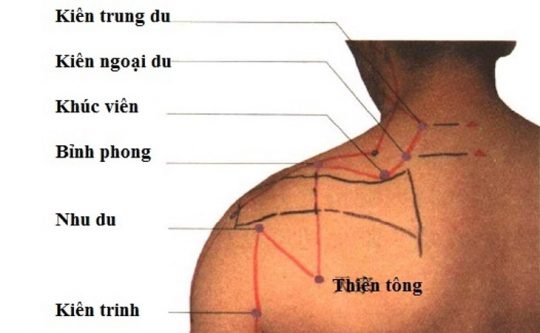 Huyệt Kiên Trung Du: Cách Xác Định, Tác Dụng Với Sức Khỏe