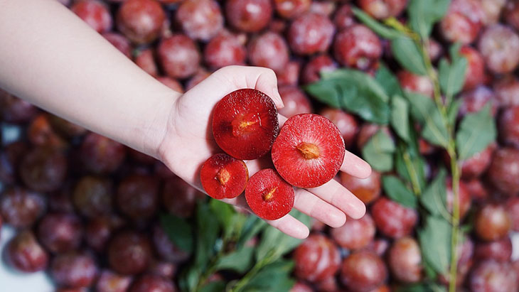 Có bầu ăn mận được không - câu trả lời là có