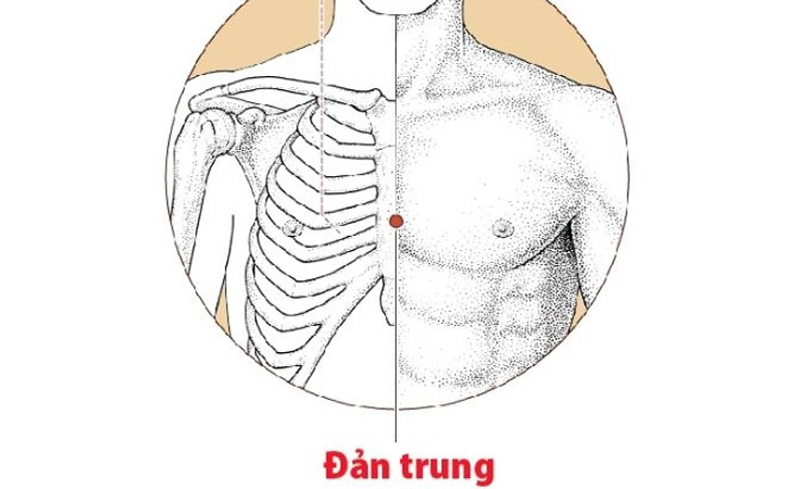 Huyệt Chiên Trung hay còn gọi là huyệt Đản Trung