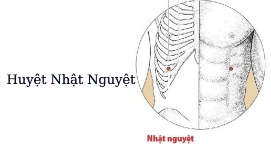 Huyệt Nhật Nguyệt - Công Dụng Và Cách Tác Động Chính Xác