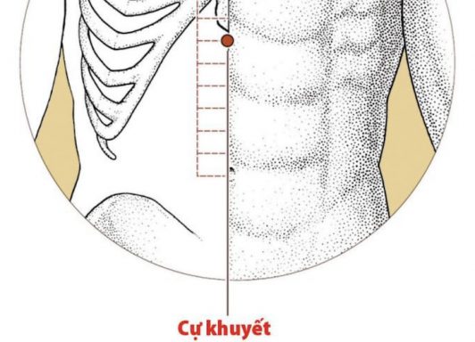 Huyệt Cự Khuyết Nằm Ở Vị Trí Nào Trên Cơ Thể? Có Công Dụng Gì?