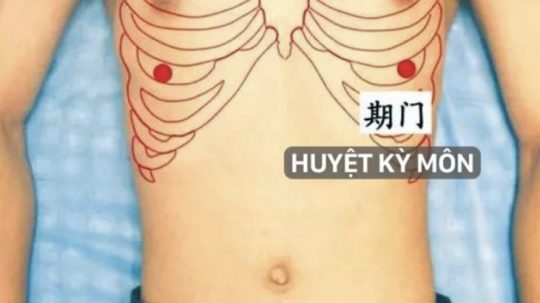 Huyệt Kỳ Môn Ở Đâu? Có Công Dụng Gì?