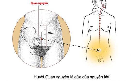 Huyệt Quan Nguyên: Huyệt Vị “Khai Phá” Sức Khỏe