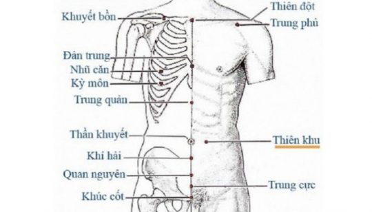 Huyệt Thiên Khu Ở Vị Trí Nào Trên Cơ Thể? Có Tác Dụng Gì?