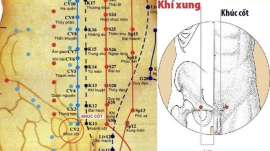 Huyệt Khúc Cốt Nằm Ở Đâu? Tác Dụng Huyệt Khúc Cốt