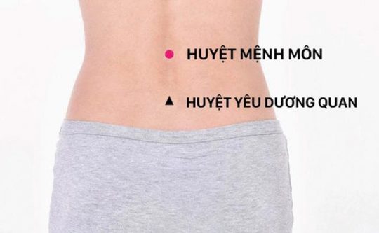 Huyệt Mệnh Môn Là Gì? Tác Dụng Khi Khai Mở Huyệt