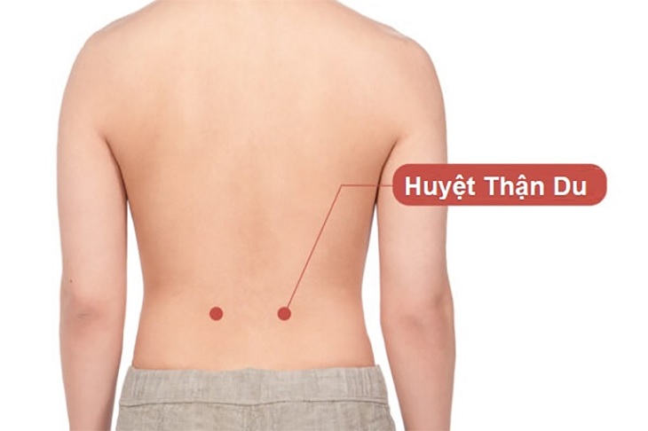 Thận Du - Huyệt Đạo Quan Trọng Cải Thiện Sức Khỏe Thận và Cơ Thể