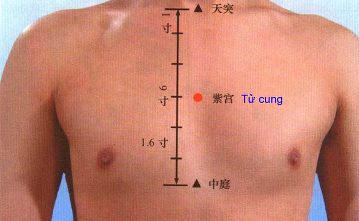 Huyệt nằm tại điểm giao nhau giữa đường dọc theo xương ức