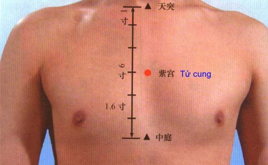 Huyệt Tử Cung Là Gì? Có Tác Dụng Gì Với Sức Khỏe?