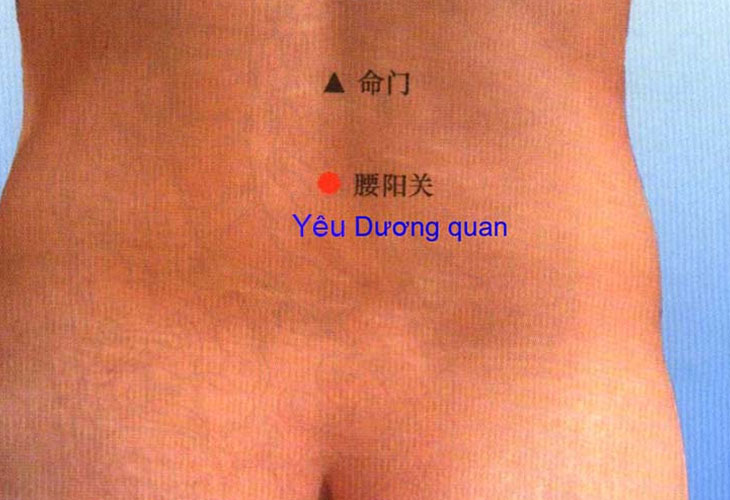 Hình ảnh huyệt Dương Quan (Yêu Dương Quan)