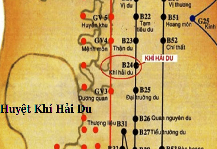 Hình ảnh huyệt Khí Hải Du