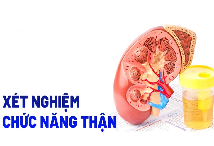 Các chỉ số xét nghiệm suy thận rất quan trọng