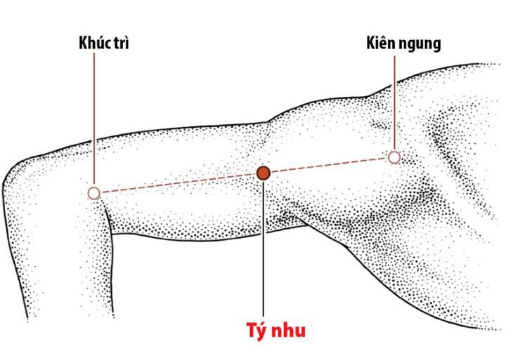 Vị trí huyệt Kiên Ngung