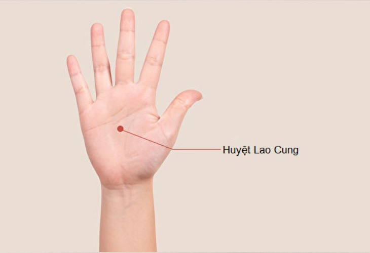 Huyệt Lao Cung (P-8) nằm ở lòng bàn tay