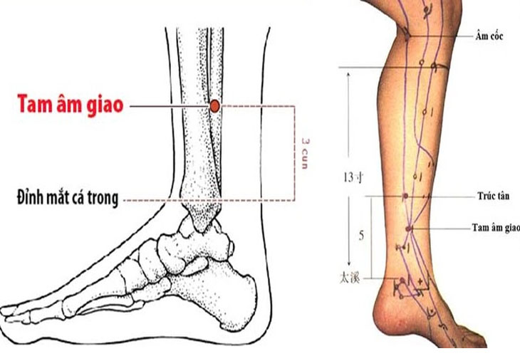 Vị trí huyệt Tam Âm Giao