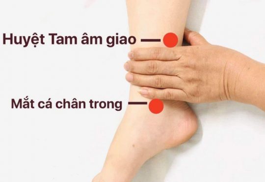 Tất Tần Tật Về Huyệt Tam Âm Giao: Cách Xác Định, Sử Dụng