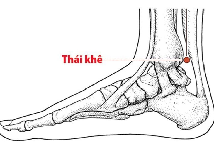 Vị trí huyệt Thái Khê rất dễ xác định