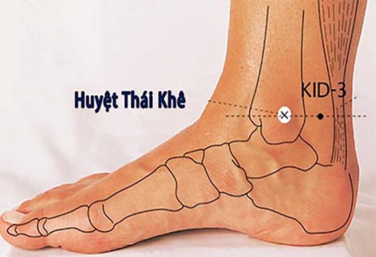 Huyệt Thái Khê: Cách Xác Định Vị Trí Và Công Dụng Cụ Thể