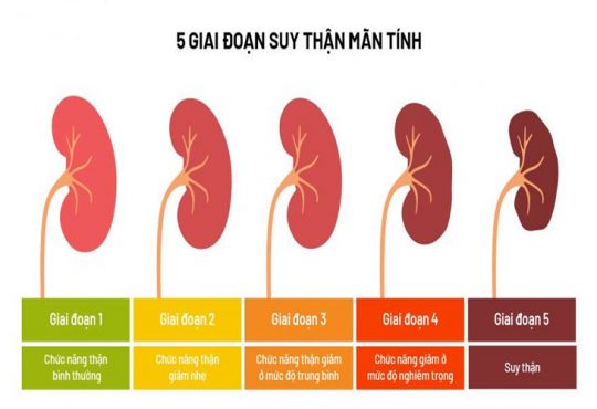 Suy Thận Nhẹ Có Chữa Được Không? Các Dấu Hiệu Nhận Biết