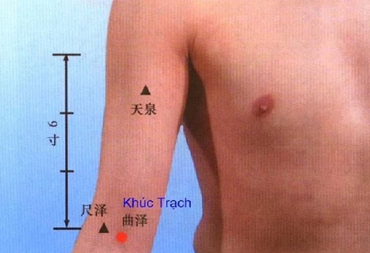 Vị trí huyệt Khúc Trạch