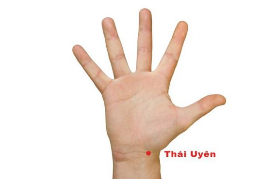 Hình ảnh vị trí huyệt Thái Uyên