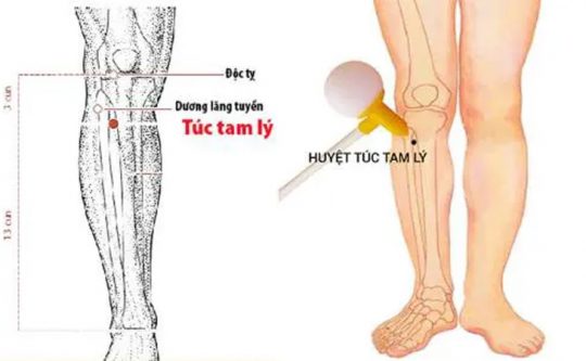 Huyệt Túc Tam Lý - Hiệu Quả Cải Thiện Bệnh Tiêu Hoá