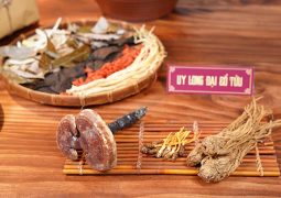 Uy Long Đại Bổ Tửu: Chất dẫn thuốc đi sâu vào tạng phủ, đồng thời giúp tăng khoái cảm, hưng phấn khi yêu, mạnh gân cốt.