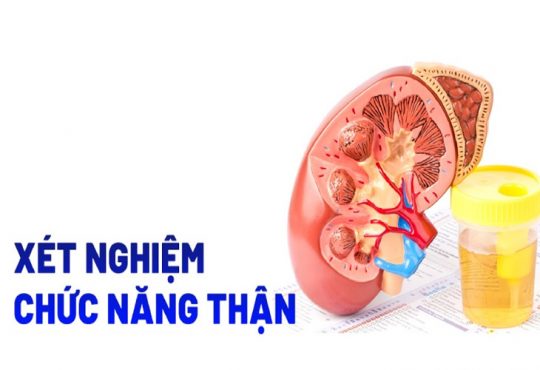 Giải Đáp: Cần Làm Xét Nghiệm Gì Để Biết Suy Thận?