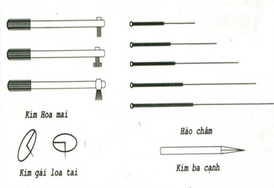 Các Loại Kim Châm Cứu Phổ Biến Và Lưu Ý Khi Lựa Chọn