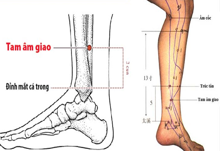 Vị trí điểm huyệt Tam Âm Giao