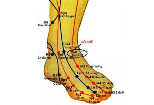 Huyệt Giải Khê: Vị Trí Và Cách Tác Động Chuẩn Xác