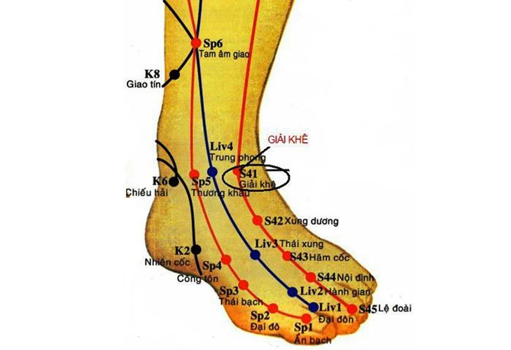 Tất Tần Tật Về Huyệt Tam Âm Giao: Cách Xác Định, Sử Dụng