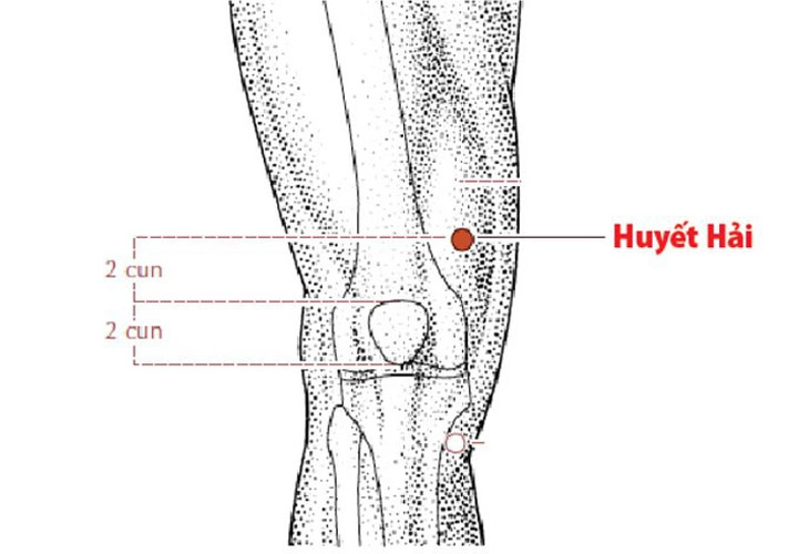 Vị trí huyệt Huyết Hải