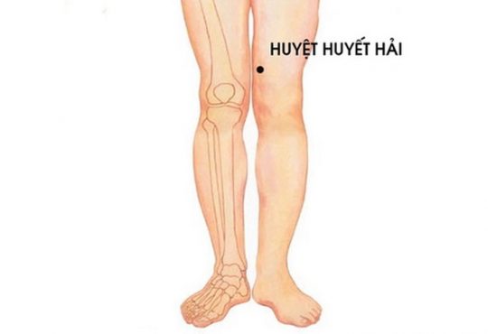 Vị Trí Huyệt Huyết Hải Và Cách Tác Động Hiệu Quả