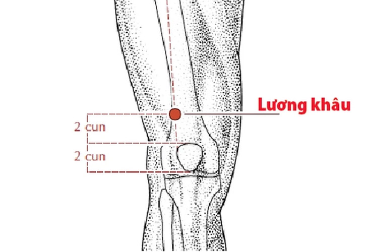 Vị trí huyệt Lương Khâu 