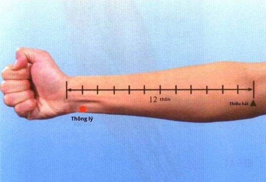 Huyệt Thông Lý (HT5) Và Khả Năng Điều Trị Bệnh Tim Mạch