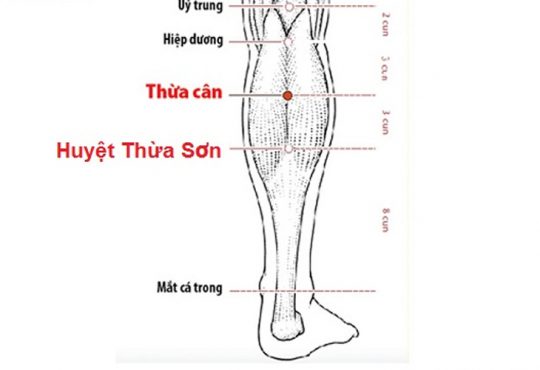 Huyệt Thừa Sơn Và Tác Dụng Giảm Đau, Hỗ Trợ Tiêu Hóa