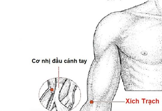 Vị Trí Huyệt Xích Trạch Và Hiệu Quả Điều Trị Bệnh Hô Hấp