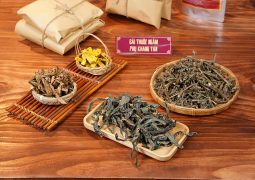 THUỐC NGÂM RỬA: Kháng khuẩn, làm sạch vùng kín, loại bỏ nhanh chóng tình trạng ngứa ngáy, khí hư cũng như hạn chế mùi hôi vùng kín.