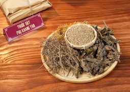 THUỐC ĐẶT: Điều trị tại chỗ, đào thải khí hư bệnh lý ra ngoài, làm lành những tổn thương tại chỗ, cân bằng môi trường tự nhiên âm đạo