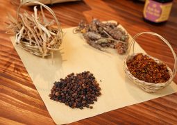 Nhất Nam Bổ Thận Hoàn: Bài thuốc có tác dụng tăng cường chức năng thận, bổ thận, khí hóa bàng quang nhằm ngăn chặn nguy cơ tái sỏi, duy trì hiệu quả bền vững.