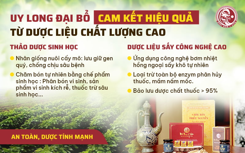 Thảo dược trong Uy Long Đại Bổ đều đạt chuẩn