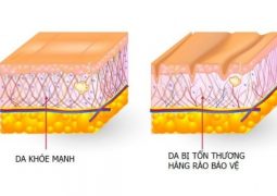 Suy giảm khả năng bảo vệ da