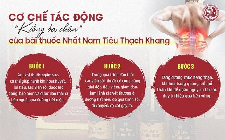 Cơ chế điều trị sỏi thận của Nhất Nam Tiêu Thạch Khang