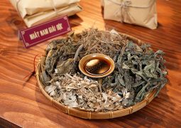 Nhất Nam Giải Độc: GIẢM ĐAU, TIÊU VIÊM sử dụng các kháng sinh thực vật giúp giảm đau nhức, tiêu viêm, làm sạch vi khuẩn đường tiết niệu.